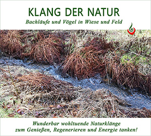 großes Bild